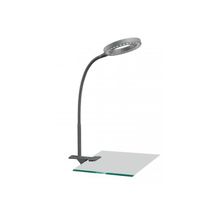 ARTE LAMP  Настольная лампа A9420LT-1SI Arte Lamp DESK