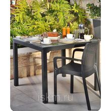 Дачный стол со стеклом Суматра