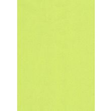 Обои виниловые Erismann Miranda 4055-7