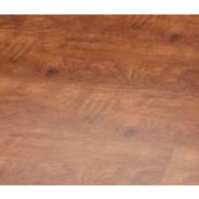 Сосна Амурская