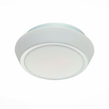 Светильник настенно-потолочный ST LUCE BAGNO SL496.502.01