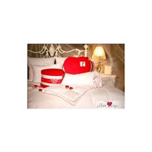 Arya Одеяло Sevgililer Gunu (200х220 см)