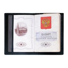 Обложка для паспорта из кожи питона, цвет: черный матовый