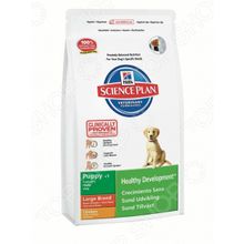 Hills Science Plan Puppy Large Breed с курицей