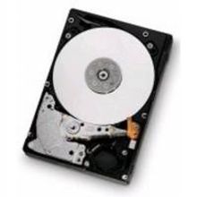 HGST HGST 0B30356