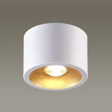 Потолочный накладной светильник ODEON LIGHT 3877 1CL GLASGOW