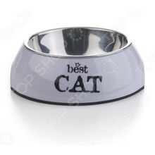 Beeztees 2in1. Best Cat