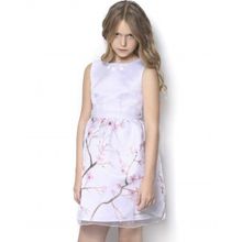 Мадама Мэрри Сакура розовое