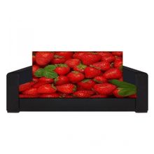 Диван Фрукты2 флок фото-принт 120 ППУ