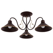 Evoluce Потолочная люстра Evoluce Ciolla SLE120402-03 ID - 96464