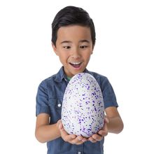 Hatchimals яйцо с сюрпризом Draggles фиолетовое