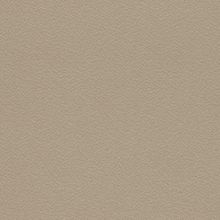 Обои виниловые Rasch Cosmopolitan 576030