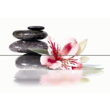 Панно Ceracasa Brazil Deco Rock Flowers Nieve (из 2-х плиток) 730х500