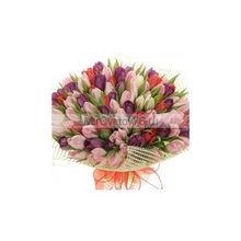 Букет Баронесса 101 разноцветный тюльпан