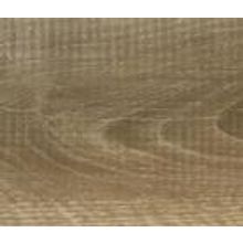 Дуб Фландрия