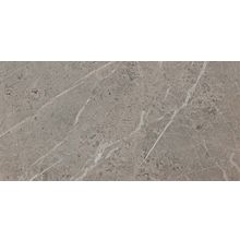 Atlas Concorde Marvel Pro Marvel Grey Fleury ADT8 керамогранит универсальный 300 мм*600 9.5 мм