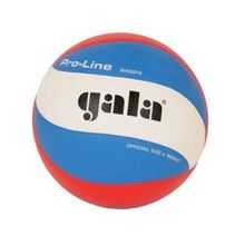 Мяч волейбольный Gala Pro-Line FIVB BV5591S