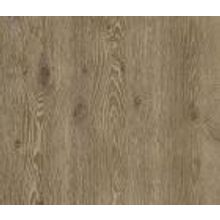 Дуб Магеллан