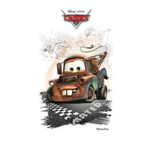 Декор Azteca Disney Cars R3060 Mater 300х600