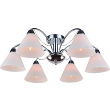 Потолочный светильник Arte Lamp A1298PL-6CC FEDERICA
