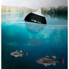Эхолот Lowrance FishHunter Pro