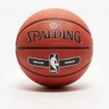 Spalding NBA Silver Series