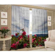 ТамиТекс «Воздух»