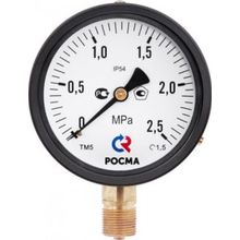 Манометр специального исполнения IP54 ТМВ-610 IP54