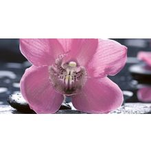 Панно Нефрит Болеро Орхидея 10-04-04-162-1 (1ч) 250х500