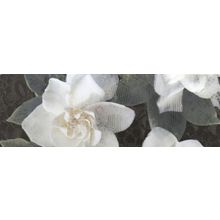 Ibero Hexa Gardenia Decor C 25x75 см
