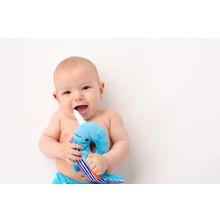 Zoocchini Погремушка Zoocchini Кит   синий ZOO4004. Арт. 00528 00528