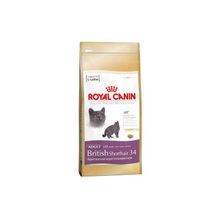 Royal Canin British shorthair (Роял Канин Британская короткошерстная) сухой корм для кошек