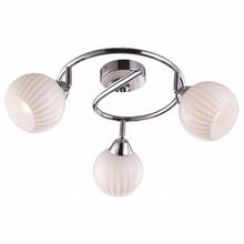 Arte Lamp Спот Arte Lamp Uva A9524PL-3CC ID - 413846