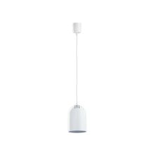 Paulmann Plantina 1x75W, белый, 50330