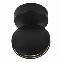 Favourite Collare 1999-1W