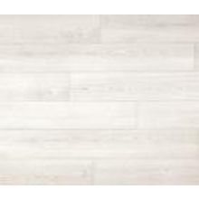 Дуб Серебристый