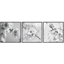 Ibero Concept Almond Dec B 25x75 см