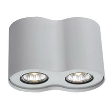 Потолочный светильник Arte Lamp A5633PL-2WH FALCON