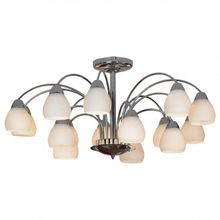 Lussole Люстра на штанге Lussole Apiro LSF-2403-15 ID - 394185