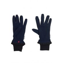 Reima Tollense синие