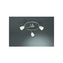 MASSIVE  Спот Massive 54389 31 10