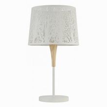 Maytoni Lantern F029-TL-01-W