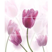 Керамическая плитка Cerrol Imperia Tulipany Tulipa (из 3шт) панно 50х60