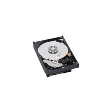 Western Digital wd3200aakx sata-iii 320gb (7200rpm) 16mb