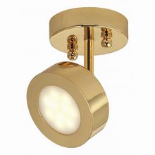 Favourite Lustige 1723-1U Lustige 1723-1U