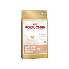 Royal Canin Labrador Retriever Junior (Роял Канин Лабрадор Ретривер Юниор) сухой корм для щенков