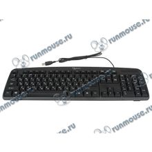Клавиатура Gembird "KB-8350U-BL", 104кн., черный (USB) (ret) [132643]