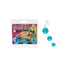 Трусы женские SOPHIA коралловые STM-9214coral L