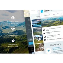 ELASTO START - Сайт-визитка на 1С-Битрикс