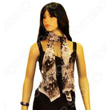 Bona Ventura SH-SH.G.50